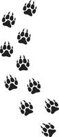 wolf paw print track vetor