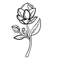 esboço mão desenhado decorativo floral ramo e minimalista folhas para logotipo ou tatuagem. mão desenhado linha Casamento erva, elegante flores silvestres. mínimo linha arte desenhando para imprimir, cobrir ou papel de parede vetor