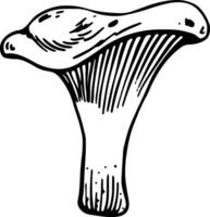 solteiro chanterelle cogumelo mão desenhado estilo isolado em branco fundo vetor