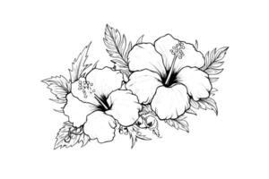 hibisco flores dentro uma vintage xilogravura gravado gravura estilo. vetor ilustração.