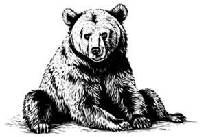 tinta mão desenhando esboço Urso mascote ou logotipo. vetor ilustração dentro gravação estilo.