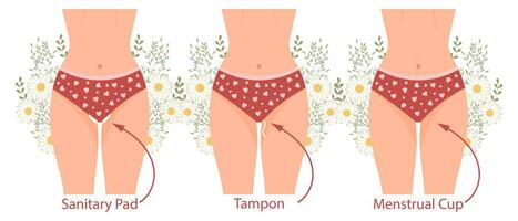 feminino higiene. fêmea corpo dentro calcinhas. escolha entre tampão, sanitário guardanapo e menstrual copo. proteção do uma mulher dentro crítico dias. vetor