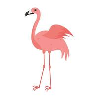 Rosa flamingo desenho animado ilustração isolado dentro branco fundo. verão animal ilustração vetor