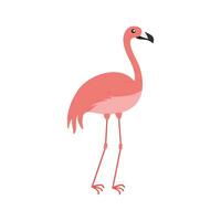 Rosa flamingo desenho animado ilustração isolado dentro branco fundo. verão animal ilustração vetor