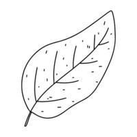 outono folha. mão desenhado rabisco estilo. vetor ilustração isolado em branco. coloração página.