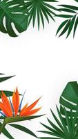 folha de palmeira verde realista natural com fundo tropical de flor de strelitzia. ilustração vetorial eps10 vetor