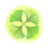 ginkgo biloba ícone a partir de 4 folhas. crachá ou logotipo para embalagem útil plantar ginkgo, para produtos farmacêuticos vetor