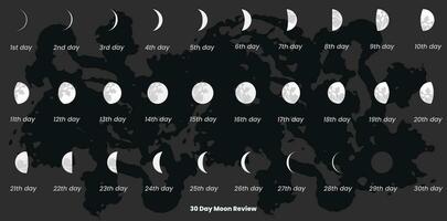 30 dia lua fases e lua calendário vetor