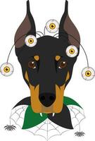 dia das Bruxas cumprimento cartão. doberman cachorro vestido com assustador olhos e uma aranha rede colarinho vetor