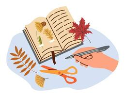 seco folhas e flores dentro uma livro. mão colas herbário para dentro livro e sinais nome do plantas. plano vetor ilustração.