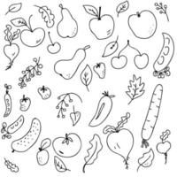 conjunto de vetores de colheita de frutas e vegetais maduros fofos de verão