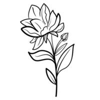 esboço mão desenhado decorativo floral ramo e minimalista folhas para logotipo ou tatuagem. mão desenhado linha Casamento erva, elegante flores silvestres. mínimo linha arte desenhando para imprimir, cobrir ou papel de parede vetor