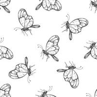 mão desenhado borboleta desatado padronizar. monocromático insetos doodle. Preto e branco vintage elementos. vetor esboço. detalhado retro estilo.