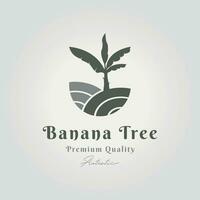 banana árvore logotipo ícone Projeto vetor mínimo emblema, banana plantação ilustração