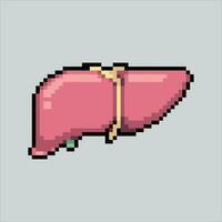 pixel arte ilustração fígado. pixelizada fígado. fígado ícone pixelizada para a pixel arte jogos e ícone para local na rede Internet e vídeo jogo. velho escola retrô. vetor