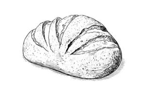 pão do pão. vetor mão desenhado vintage gravação estilo vetor ilustração.