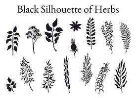 ilustração em vetor silhueta preta conjunto de ervas, plantas e flores. esboços gráficos desenhados à mão para você projetar