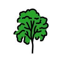 padauk árvore selva Amazonas cor ícone vetor ilustração