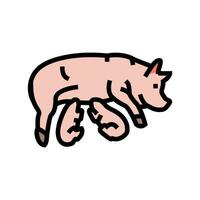 porco leitões Fazenda cor ícone vetor ilustração
