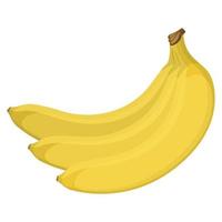 ramo de bananas vetor