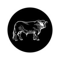 touro ícone em uma Preto fundo parece avançar. gravado desenhando esboço. para agricultura, gado Reprodução e carne vetor