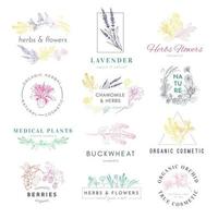 produtos de logotipo de cosméticos orgânicos conjunto de vetores desenhados à mão