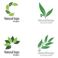 folha ícone ilustração vetorial design modelo de logotipo vetor