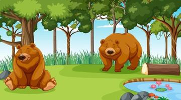 urso pardo ou urso pardo em cena de floresta ou floresta tropical com muitas árvores vetor