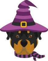 dia das Bruxas cumprimento cartão. rottweiler cachorro vestido Como uma bruxa com Preto e roxa chapéu e cachecol vetor