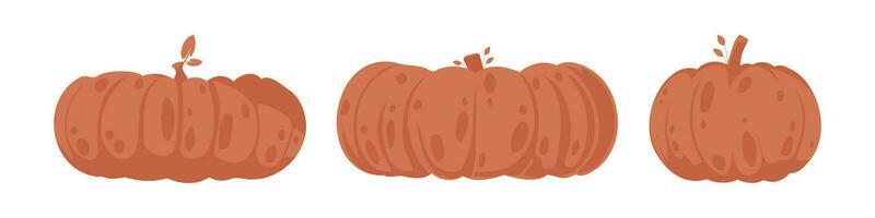 uma grupo do grande, laranja abóboras durante a outono temporada. desenho animado estilo. vetor