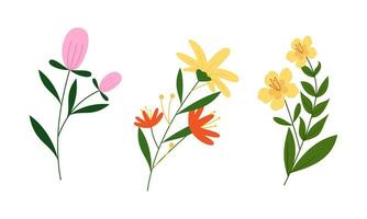 orgânico plano Primavera flor coleção vetor
