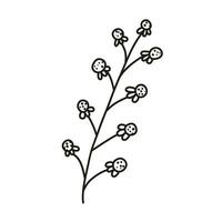 isolado mão desenhado rabisco linha simples flor. plano vetor ilustração em branco fundo.