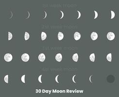 30 dia lua fases e lua calendário vetor