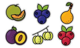 conjunto do colori fruta ícones vetor