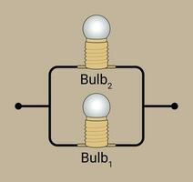 dois lâmpadas conectado dentro paralelo vetor