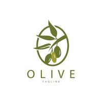 Oliva logotipo, vetor Projeto Prêmio modelo vetor ilustração
