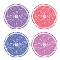 vetor colorida fatia frutas metades realista ícones isolat