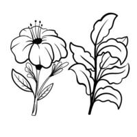 conjunto do botânico artes. mão desenhado linha desenhando do abstrato flor, floral, rosa, tropical folhas, Primavera e outono folha, ramalhete do azeitonas vetor