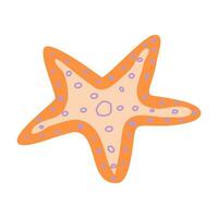 laranja estrelas do mar - isolado vetor ilustração em branco fundo