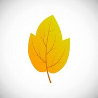 amarelo bordo folha. outono folha do uma árvore em uma branco fundo. vetor ilustração