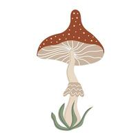 amanita muscaria. mão desenhado cogumelo. estilizado elemento para outono decorativo Projeto vetor