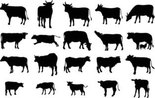 conjunto do vaca silhueta, isolado vetor em branco fundo