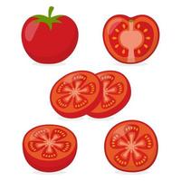 imagem vetorial de tomate
