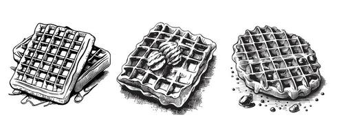 conjunto do waffles esboço mão desenhado vetor ilustração