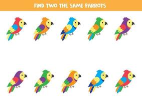 encontre dois papagaios coloridos idênticos. jogo educativo para crianças. vetor