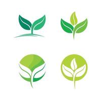 árvore folha vetor design logotipo conceito ecológico