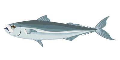 ilustração vetorial desenho animado objeto isolado alimento fresco peixe vetor