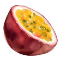 metade paixão fruta com sementes isolado mão desenhado pintura ilustração vetor