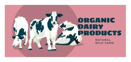 três vacas Preto e branco vacas em uma Rosa fundo. leite publicidade laticínios produtos Fazenda anúncio. poster, cartão postal. vetor plano ilustração