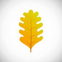 folha de carvalho amarelo. folha de outono de uma árvore em um fundo branco. ilustração vetorial vetor